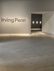Irving Penn - exposition centenaire naissance - Grand Palais 21 septembre 2017 - 29 janvier 2018
